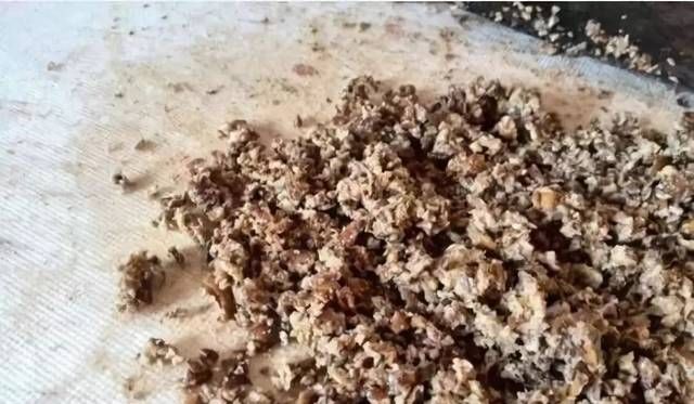  [江河]钓草，鲤鱼的秘制药酒蚕蛹饵，江河湖库亦有神效！