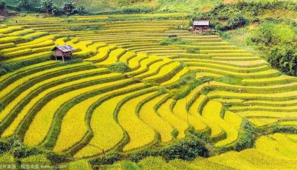 大促299元超值抢购元阳599自由行套餐