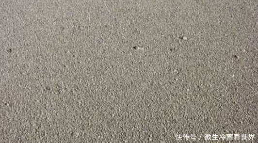 深海中发现怪异沙滩,船靠近看清后,水手疯狂逃离!