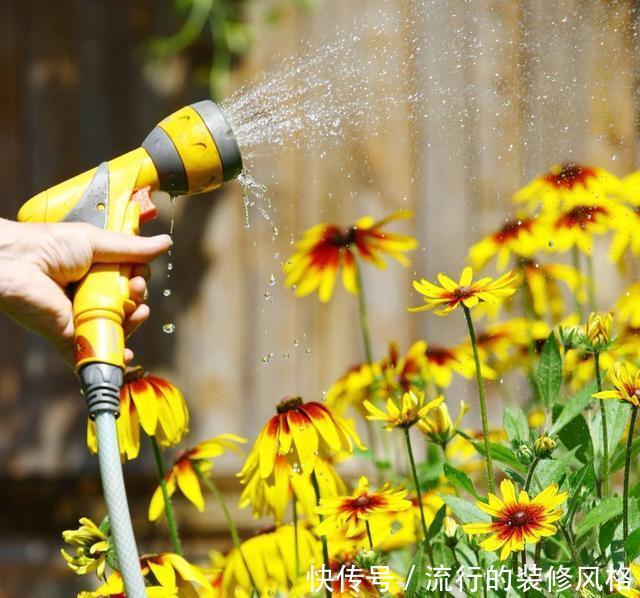  [技术活]浇水是门技术活，方法、时间很关键，做不对容易将花养死
