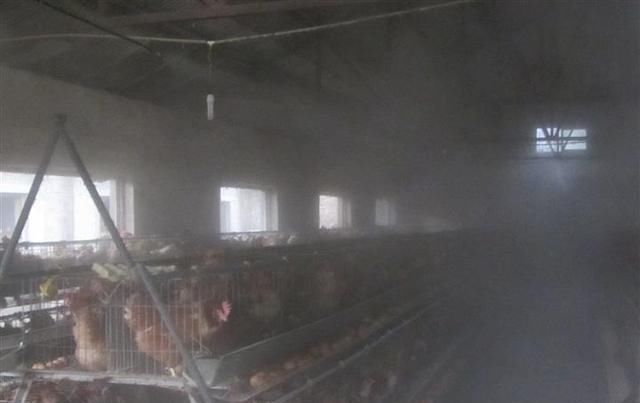  『配置浓度和』养殖场消毒工作常见的五大误区，你有几个？