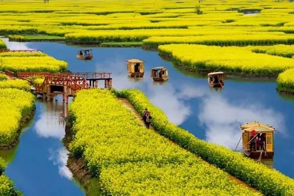 最江南的花海：惊艳不输婺源，情调不输威尼斯