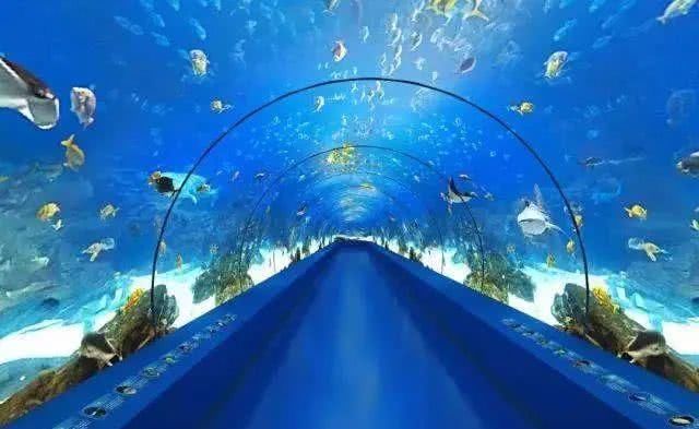  「重启」不能重启的2020，接下来的日子在天津要这样过！