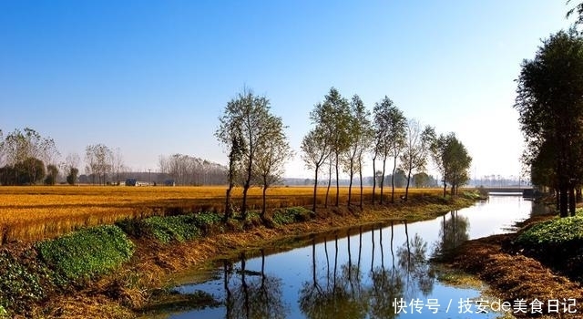  【发家致富】未来10年，农村这3类人将会走上发家致富的道路，看