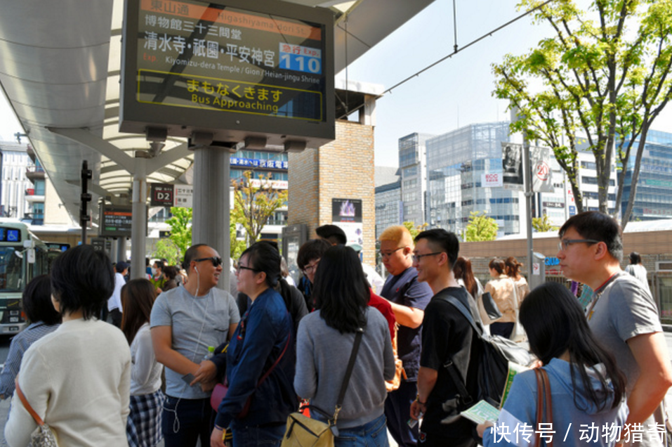 直击游客暴涨的日本,中国人最多,看看当地人对此如何评价