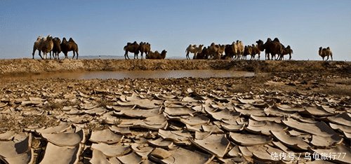  [高温]厄尔尼诺引发印度“死亡高温”，以为40度就叫热来看看印