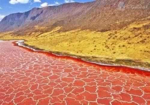 全球最危险六处水域，美丽妖娆却也绝对危险