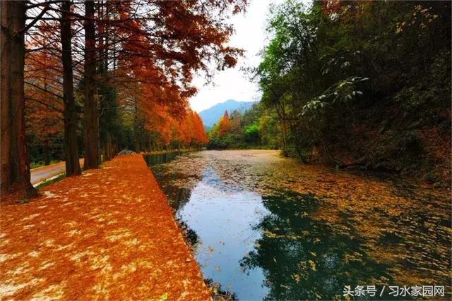 贵州居然要改名了！据说新名字是……