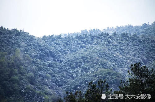  『动人』春雪降落大别山，天堂寨、马鬃岭景区银装素裹，更加壮美动人