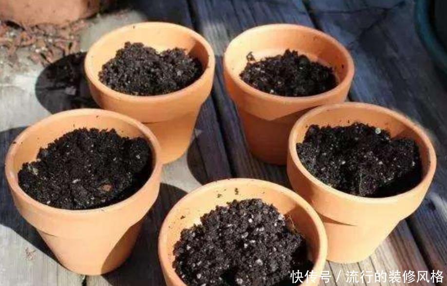  「技巧」盆土容易结板，掌握这些技巧，土壤疏松透气，养分充足