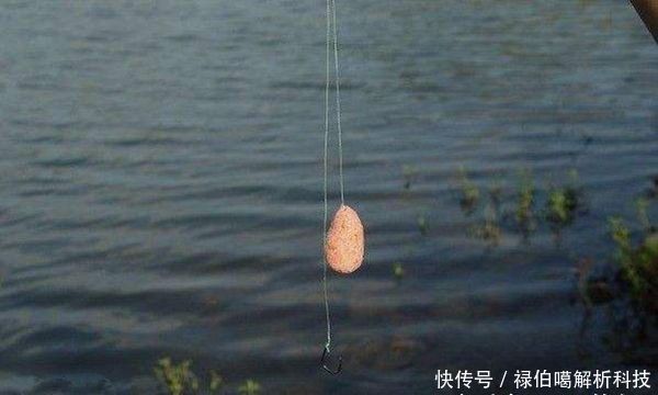 『子线』子线选择中的那些学问,科学选择子线,中鱼率飙升好几倍!