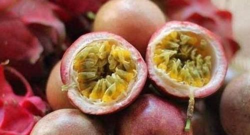  扦插■若是有院、有阳台，2种水果可'扦插'，第二年就能开花结果