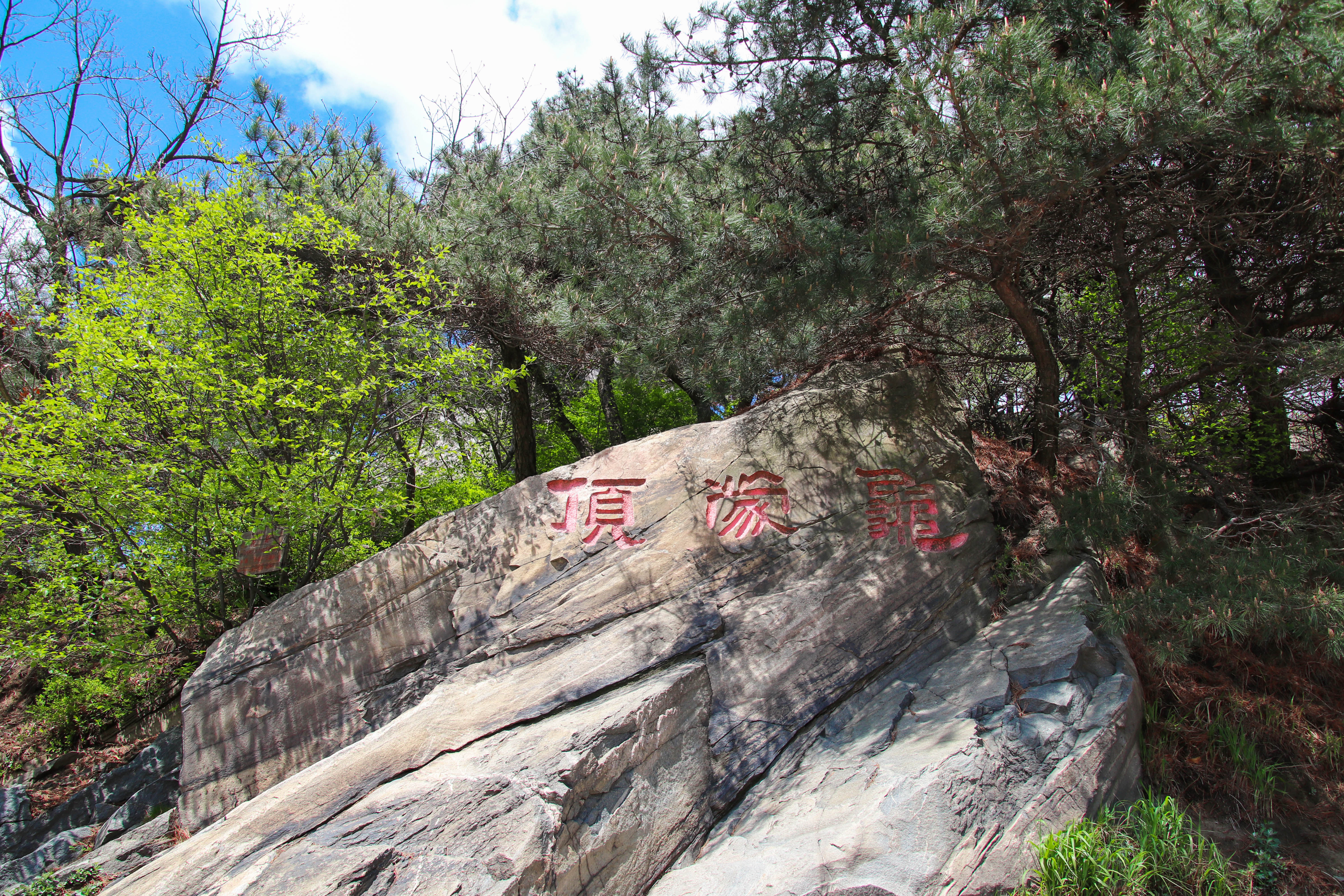 来沂蒙山，我“养”你啊