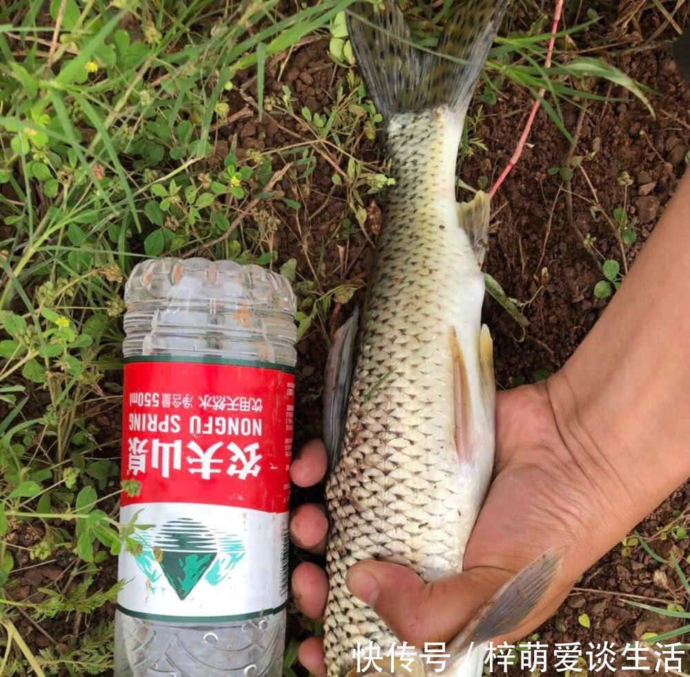  钓友■活了近10年！长江钓起巨型船钉子，钓友从来没见过这么大的