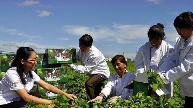  电商@在农村，这一职业有发展前景，但只适合农二代，没闲钱的人