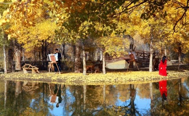 去西北看一次金秋的胡杨林 你会被这里的美景所感动 赞叹大自然