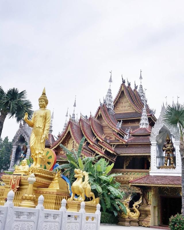 是什么魅力让这么多人自驾去西双版纳过春节，看了你就知道！