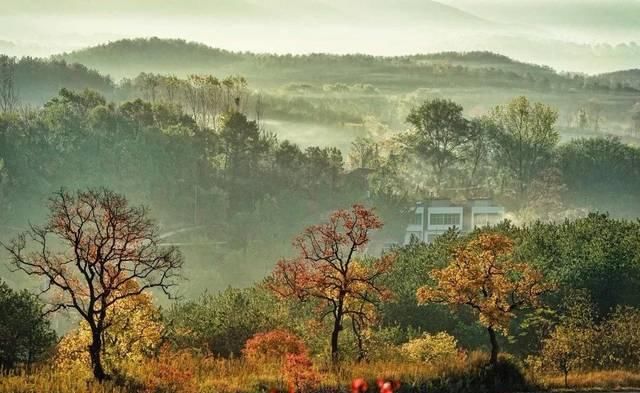 不用去婺源,湖北也有神仙秋景可赏,自驾2小时直达!