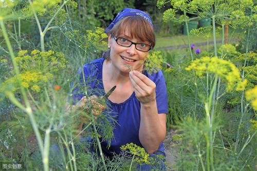  【盆栽】创业不要盲目，五个适合一般人的小生意，努努力就能学