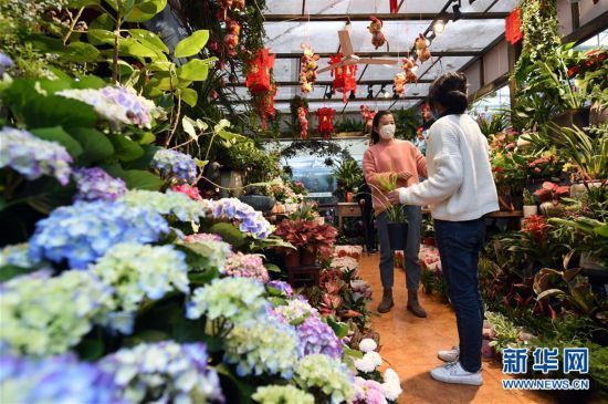  市场在做好：花鸟市场重焕生机