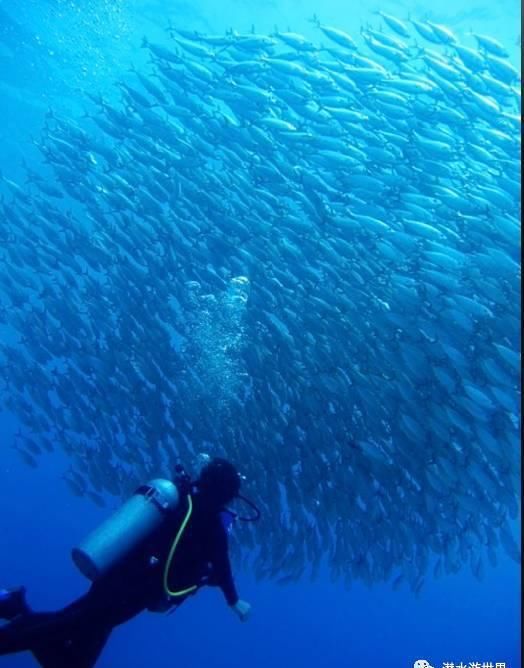 这个唯一免签的美国领土，刚刚缩短了免签停留期！不潜水还等啥呢