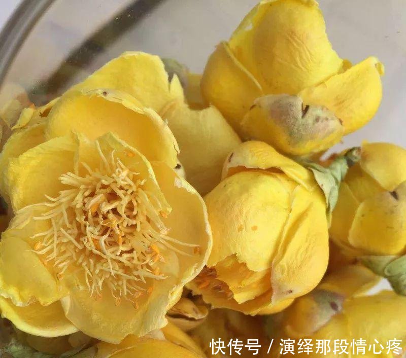 李时珍一辈子没找到的花，广西贫困户种它发大财！