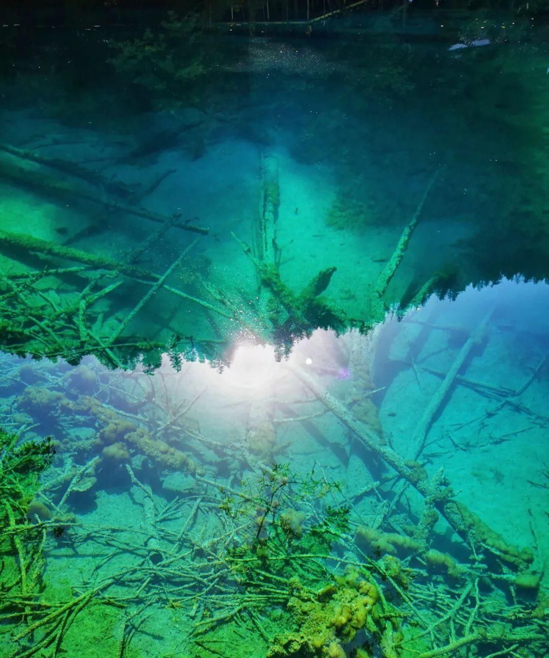 四川九寨沟终于要开园了！国庆旅游好去处，九寨沟门票160元/人起