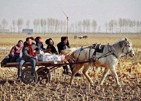 6张老照片诉说农村往事