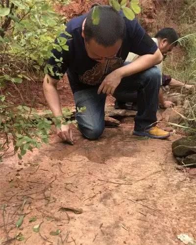 好消息，云南退休人员基本养老金涨了！明年1月1日起调整