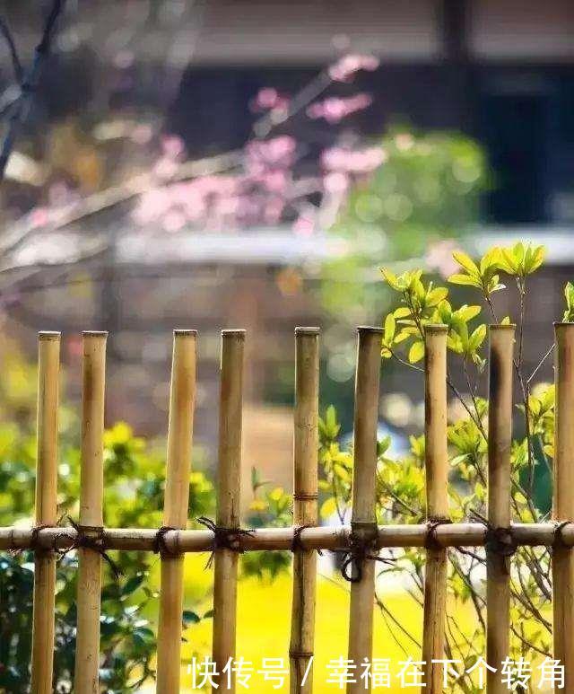  「快乐」篱笆小院住在乡村的快乐，你想体验吗！