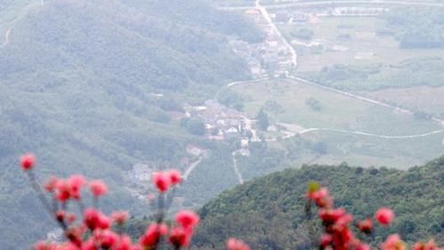 「燃起」余杭燃起“火烧云”,满山的杜鹃花美极了!