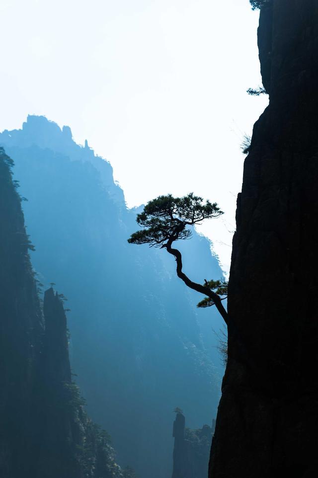 黄山最美的地方，风景绝佳，看图都觉得腿软，去过的游客无一差评