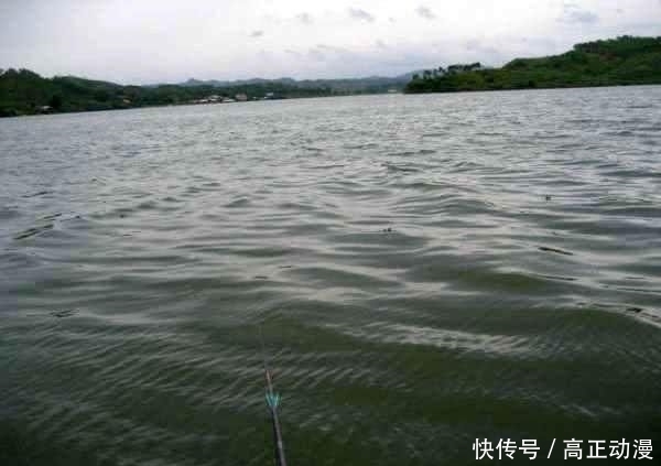 【生活费】鱼跑了, 杆也断了, 钓鱼人半个月的生活费没了