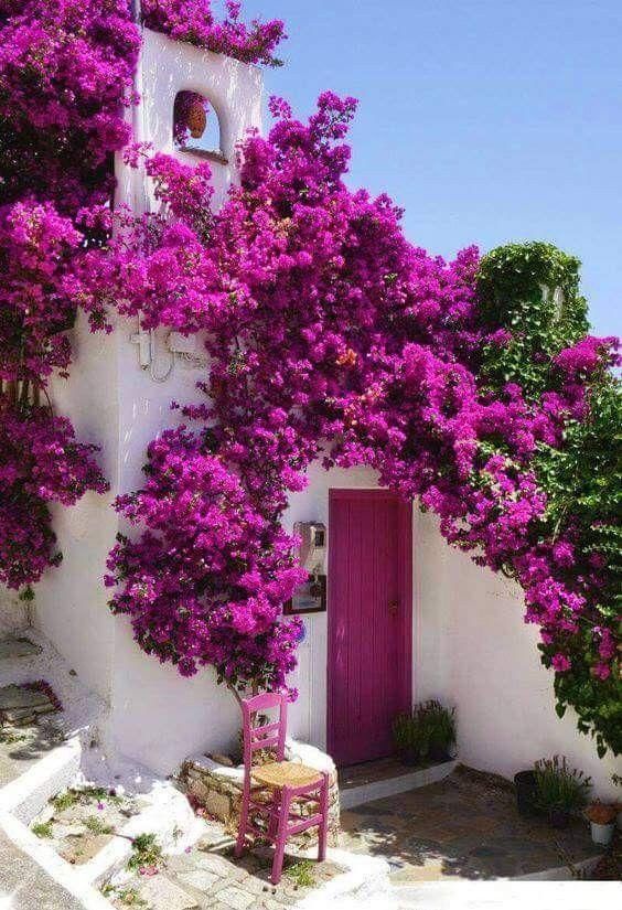 等我们老了，一起建个这样的小院，荒度余生！