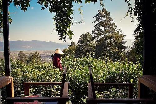 在大理，不扎堆，才逍遥，大理这些小众地方等你来打卡