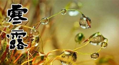 寒露节气，秋意正浓