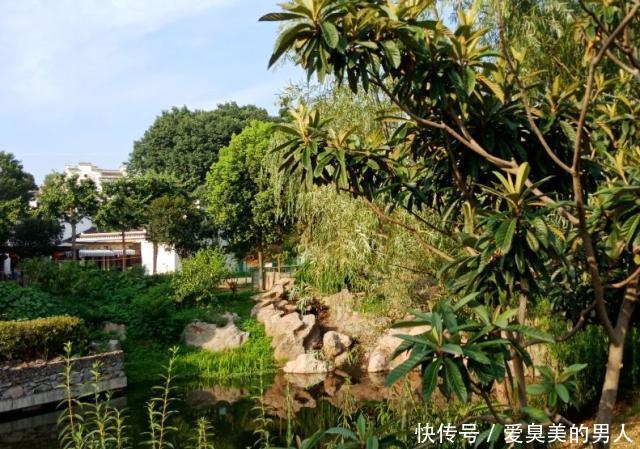 江苏竟藏着一座世外桃源,岳飞曾住在这里,被誉“中国最美乡村”