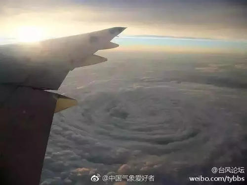 什么？！这些关于“山竹”的说法竟是谣言