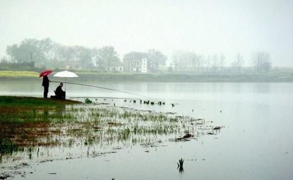 水库野钓，最藏鱼的6类绝佳钓点