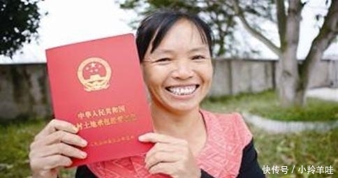  [明年]下半年, 2个证农民要早点办, 明年再办, 村干部可能不再受