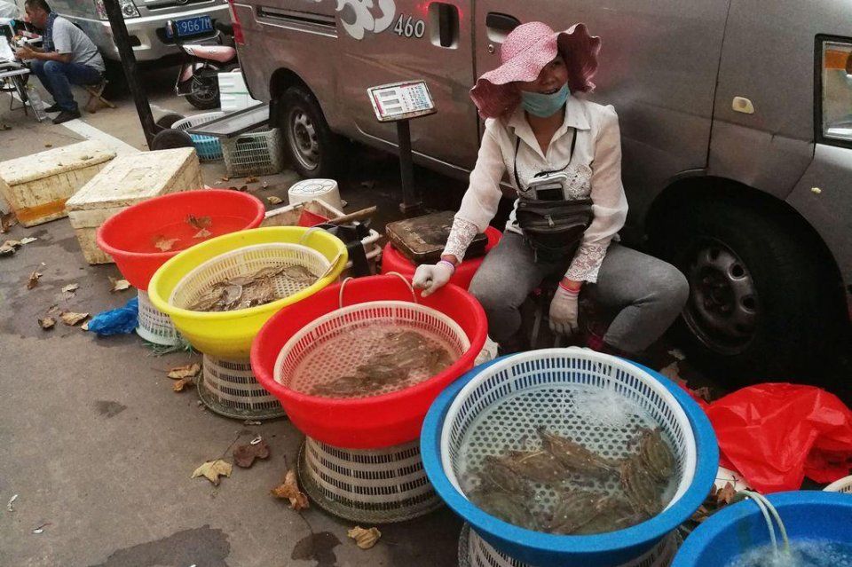 海鲜摊贩说 自从卖上梭子蟹 家里就没吃过活的 每天4个小时坚守