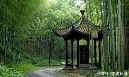 西湖最美的竹林,距西湖仅12公里,位列新西湖十景之一!