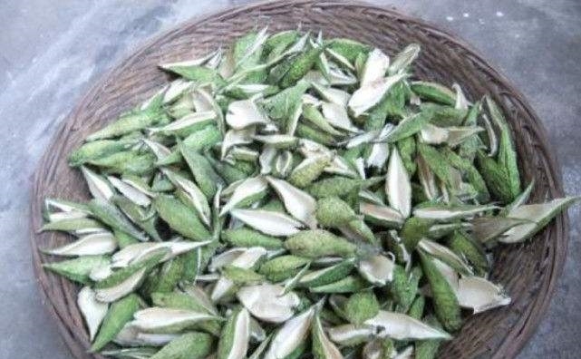 如果在农村遇见“麻雀棺材”这种植物记得一定要摘回家，有惊喜！