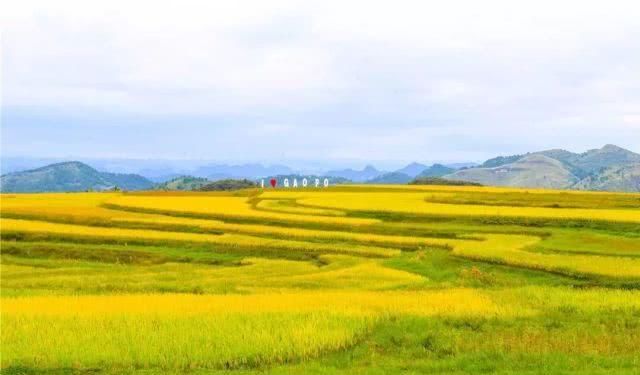 中国第一条旅游高铁正式通车！400余个4A级以上景区，一路美食美