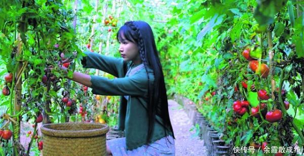 李子柒让人喜欢的不是美,而是那份美好!是对世外桃源的倾心