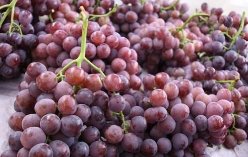 葡萄有没有打激素看三个地方就对了，学会后再也不怕买到激素葡萄