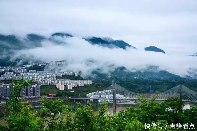 两名女干部拒绝组织提拔：有一个细节耐人寻味