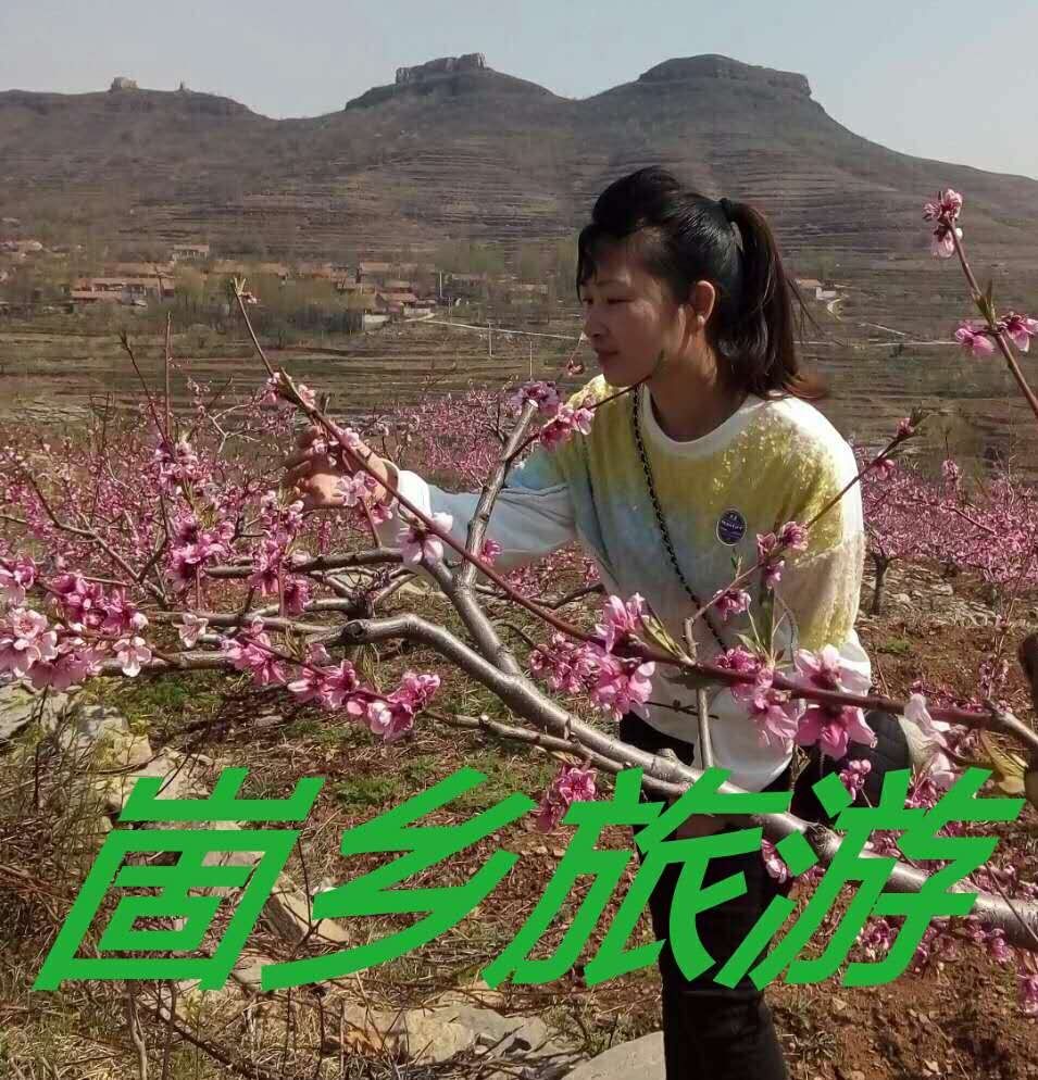  特刊：崮乡文苑（283）庆“五一”特刊/天下泉庄好，醉美艺博园（之二:盆景篇）