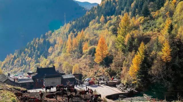 秋日里，山西20处绝美赏秋胜地美的像仙境
