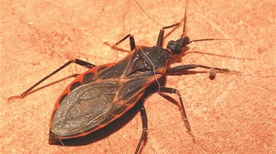 7月朋友圈谣言,你信过几个?